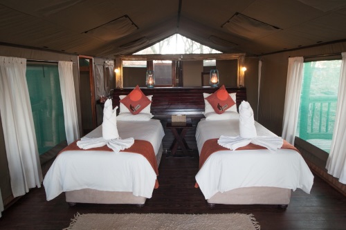 Moremi Crossing tent